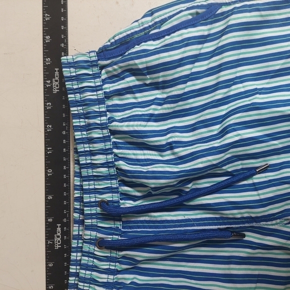 Beach Bros Blue White Green Swim Trunks Stripped Men's Medium - Picture 6 of 13